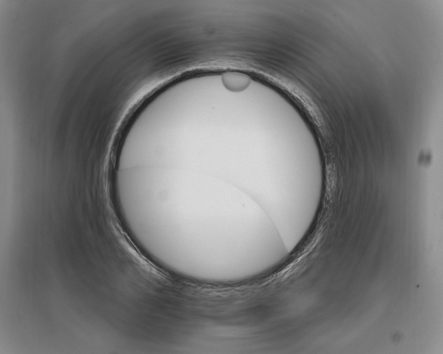 X0000096970982200802291117