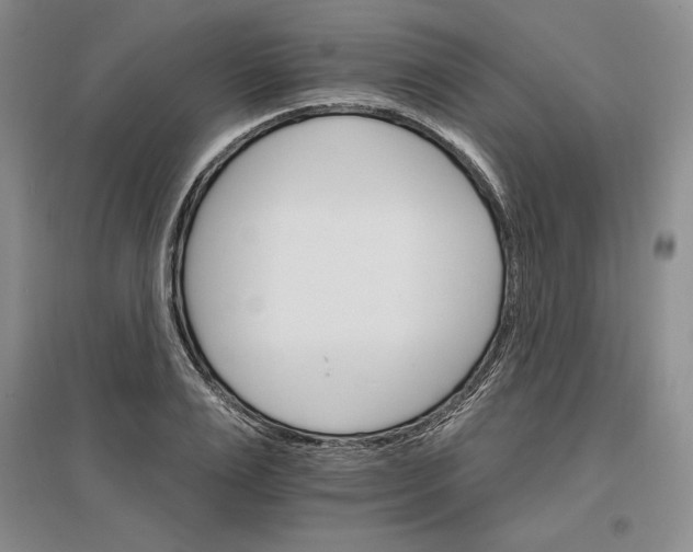 X0000096970983200802291117