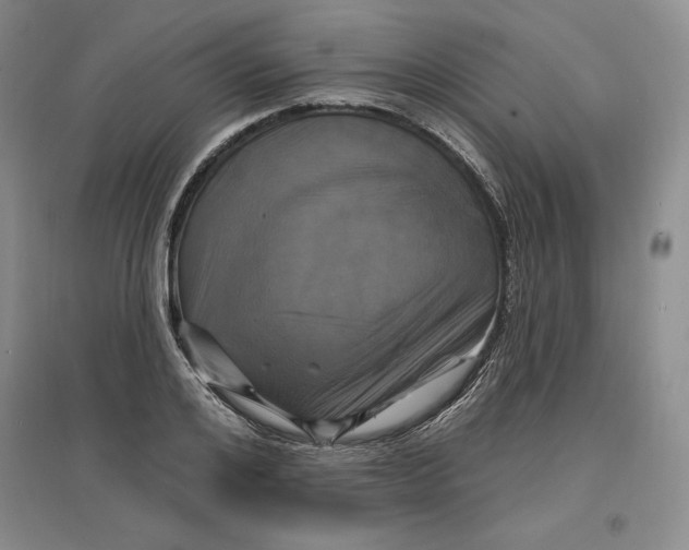 X0000096970984200802291117