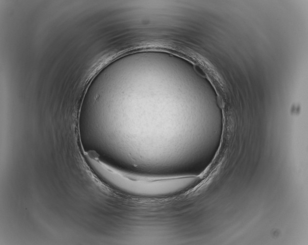 X0000096970985200802291117