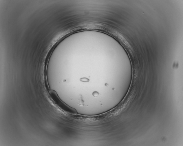 X0000096970986200802291117