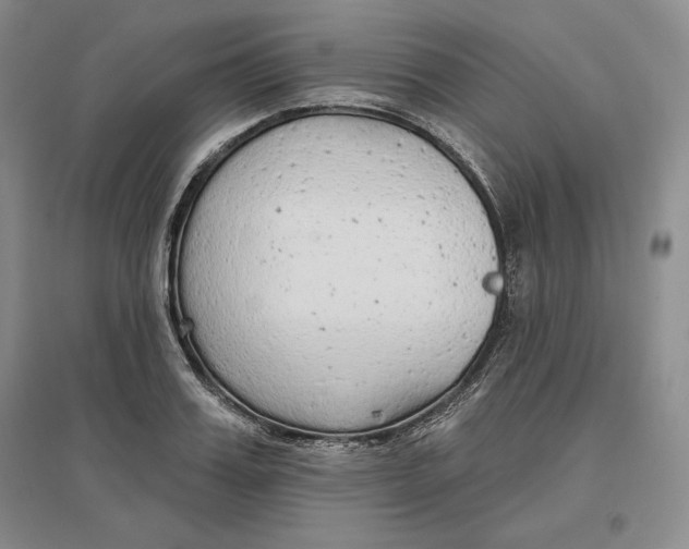 X0000096970987200802291117