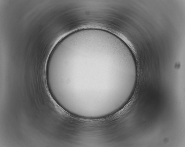 X0000096970988200802291117