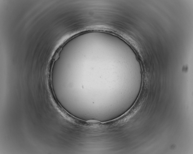 X0000096970989200802291117