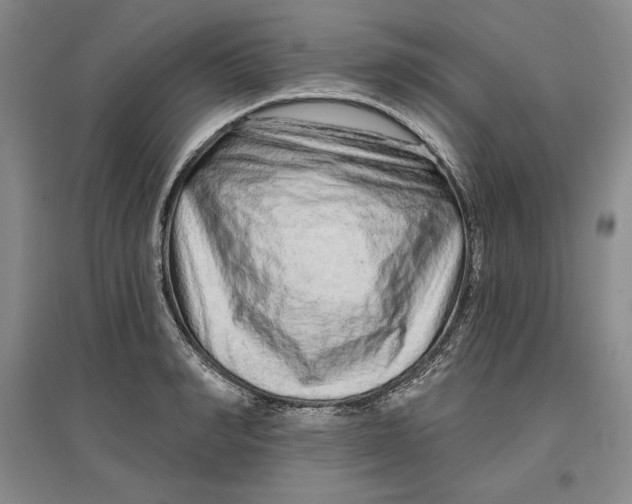 X0000096970990200802291117