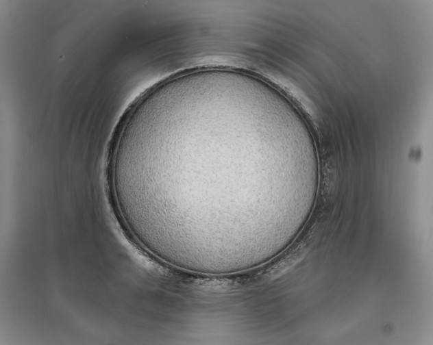 X0000096970991200802291117