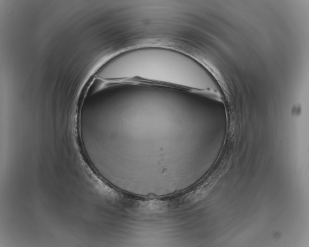 X0000096970992200802291117