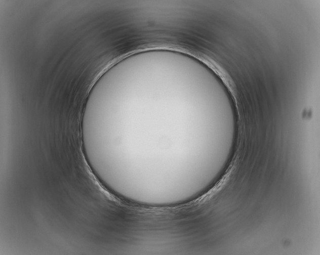 X0000096970993200802291117