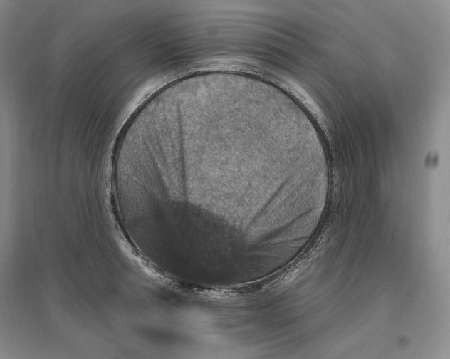 X0000096970994200802291117