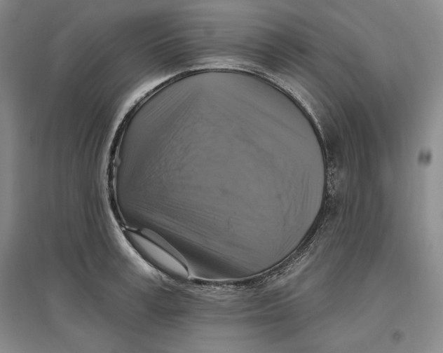 X0000096970995200802291117