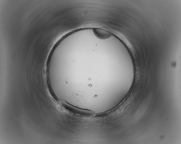 X0000096970996200802291117