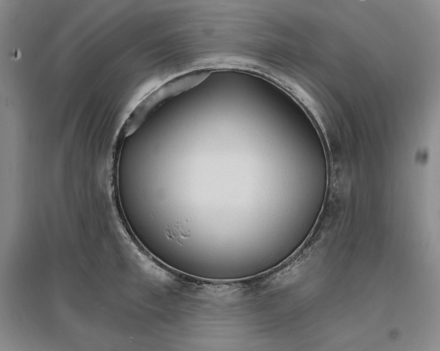 X0000096970997200802291117