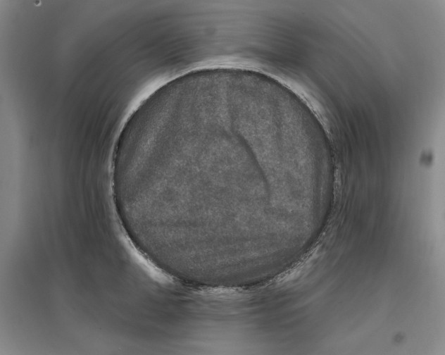 X0000096970998200802291117