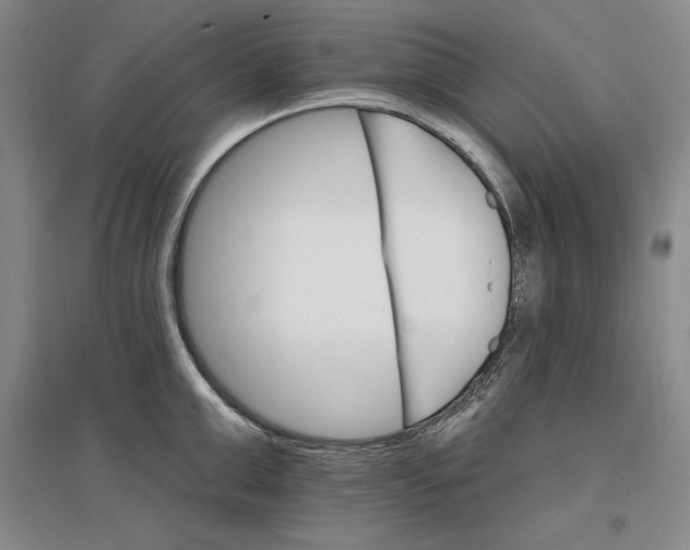 X0000096970999200802291117