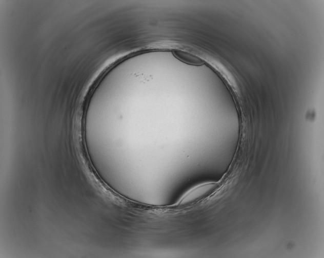 X0000096971000200802291117