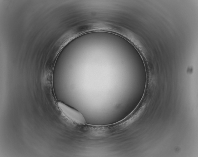 X0000096971001200802291117