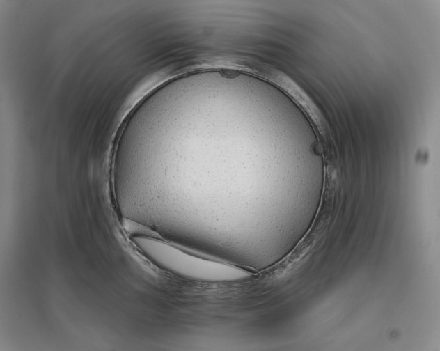 X0000096971002200802291117