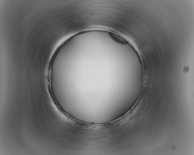 X0000096971003200802291117