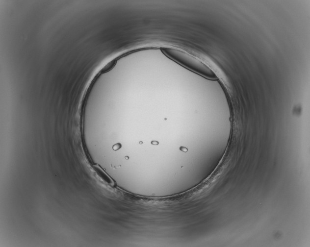 X0000096971004200802291117