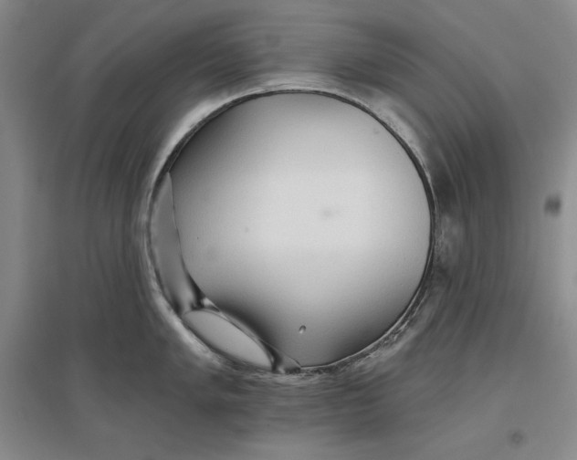 X0000096971005200802291117