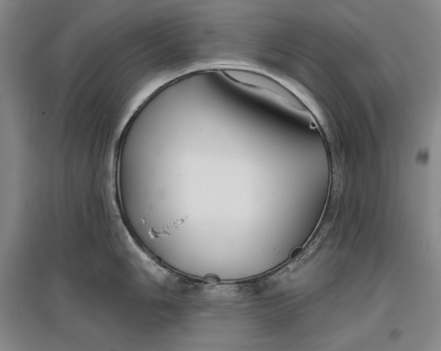 X0000096971006200802291117