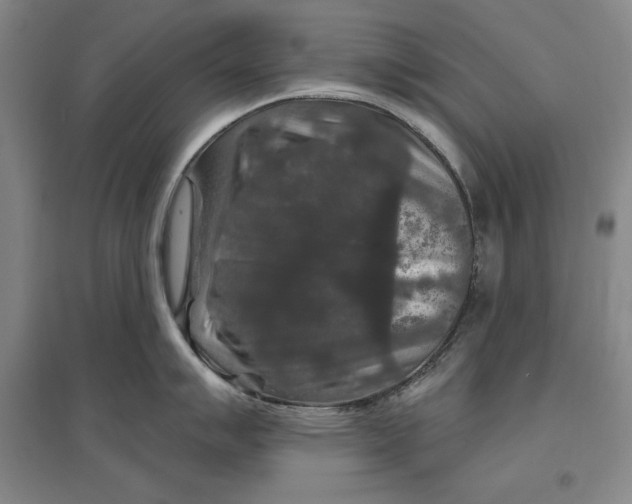 X0000096971007200802291117