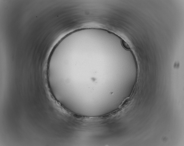 X0000096971008200802291117