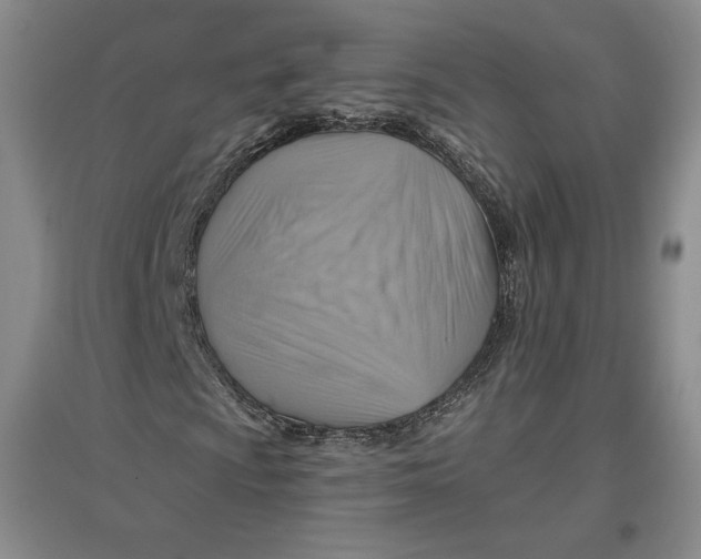 X0000096971009200802291116