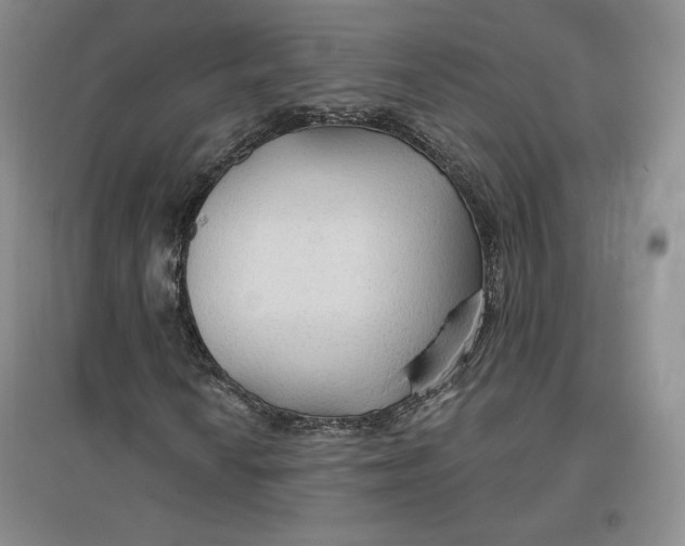 X0000096971010200802291116