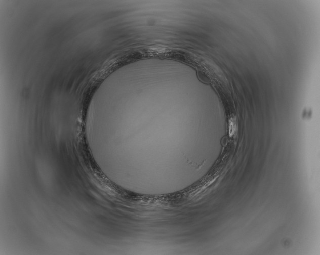 X0000096971011200802291116