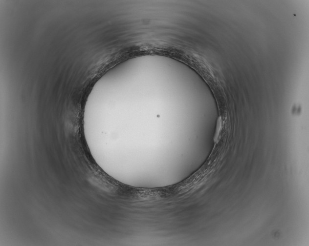 X0000096971012200802291116