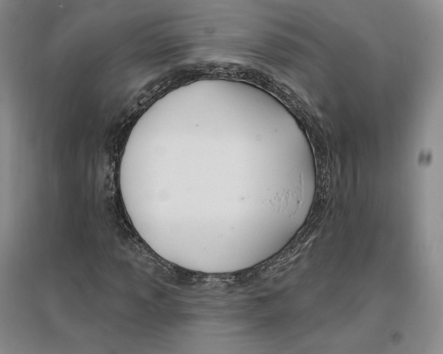 X0000096971013200802291116