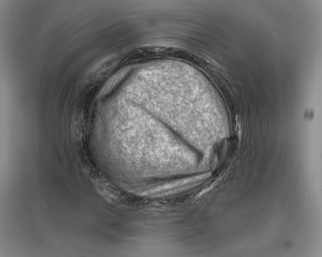 X0000096971014200802291116