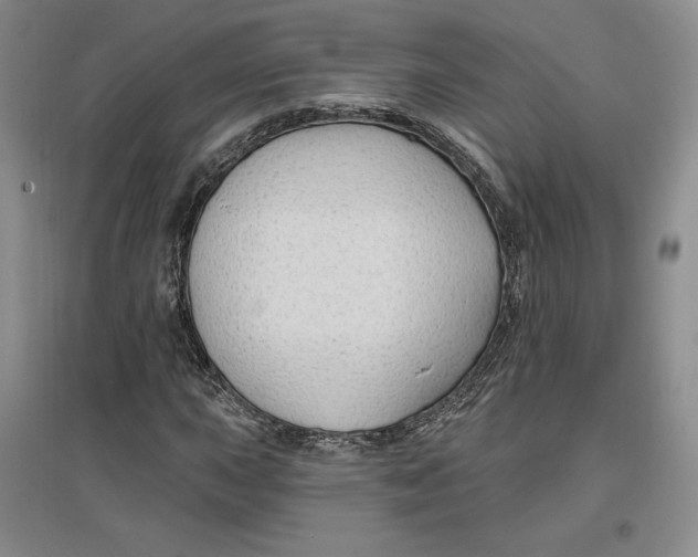 X0000096971015200802291116