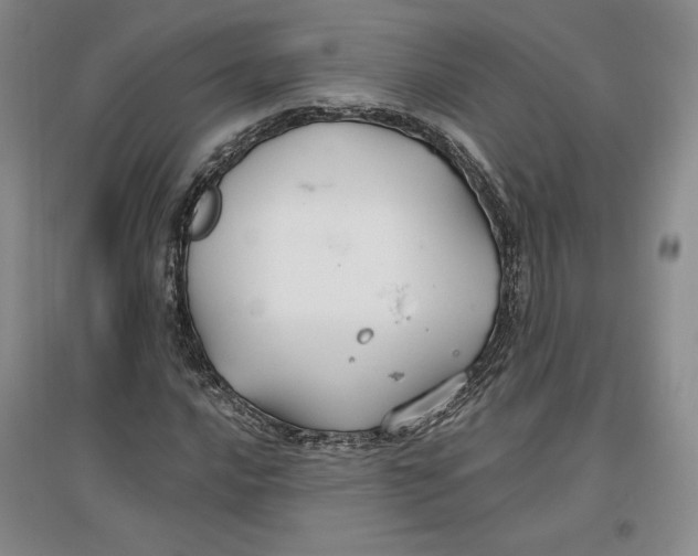 X0000096971016200802291116