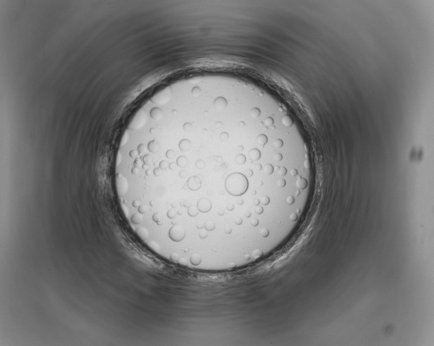 X0000096971017200802291116