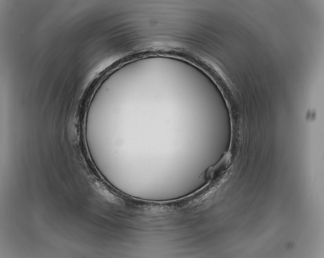 X0000096971018200802291116