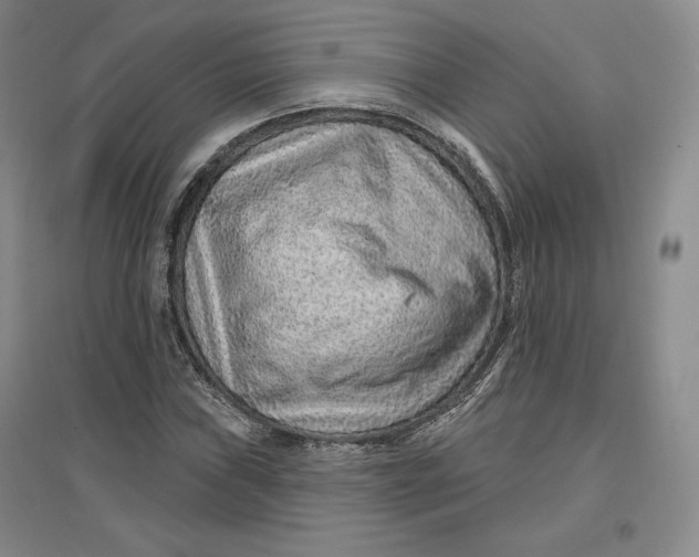 X0000096971019200802291116