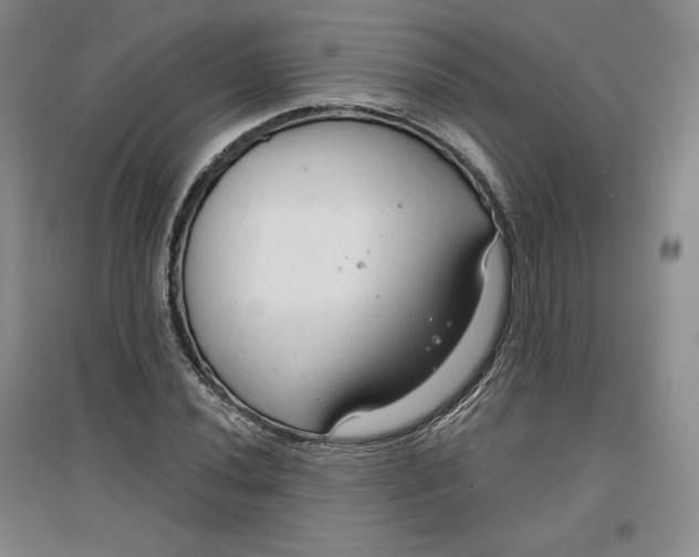 X0000096971020200802291116