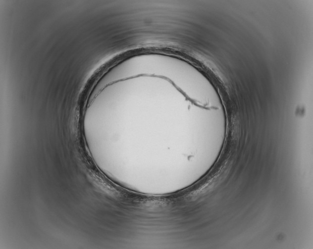 X0000096971021200802291116