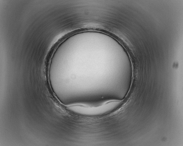 X0000096971022200802291116