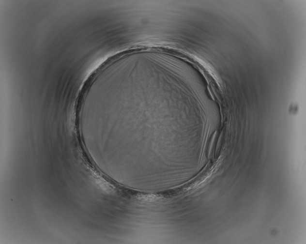 X0000096971023200802291116