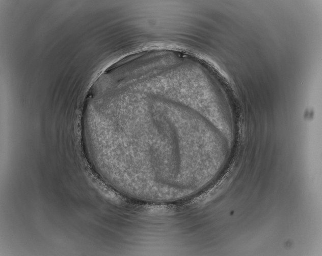 X0000096971025200802291117