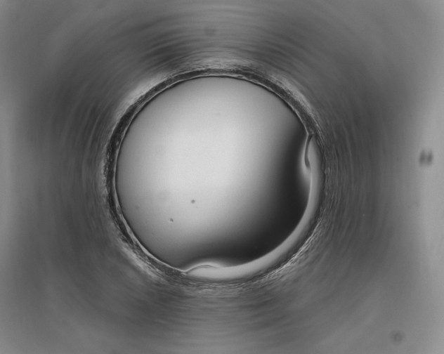 X0000096971026200802291117