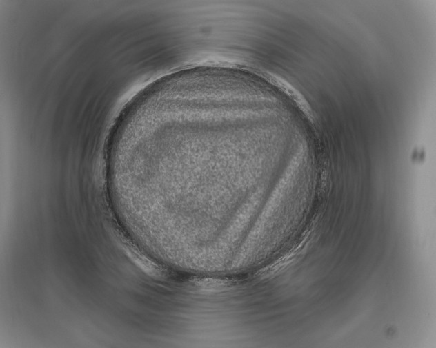 X0000096971027200802291117