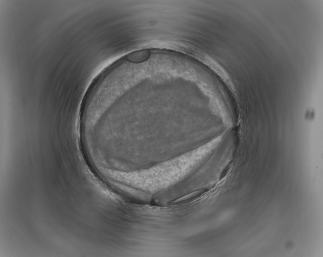 X0000096971028200802291117