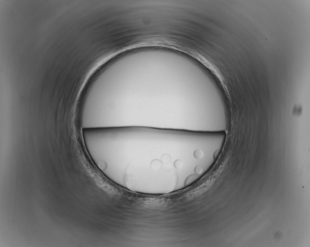 X0000096971029200802291117