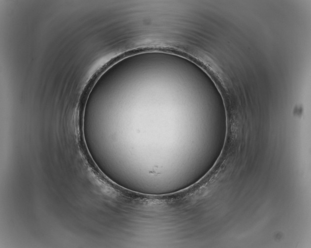 X0000096971030200802291117