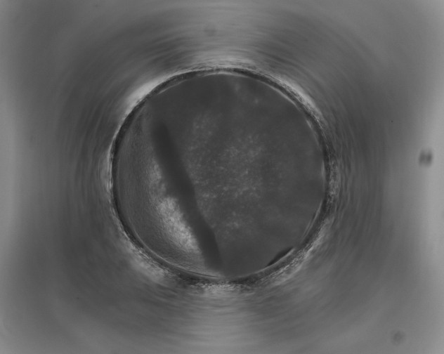 X0000096971031200802291117