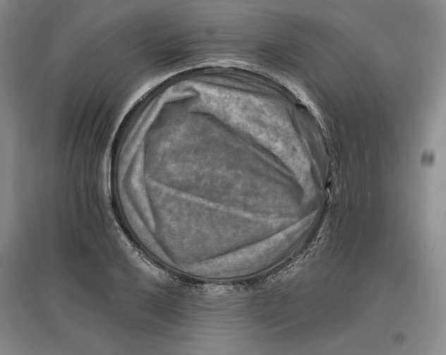 X0000096971032200802291117